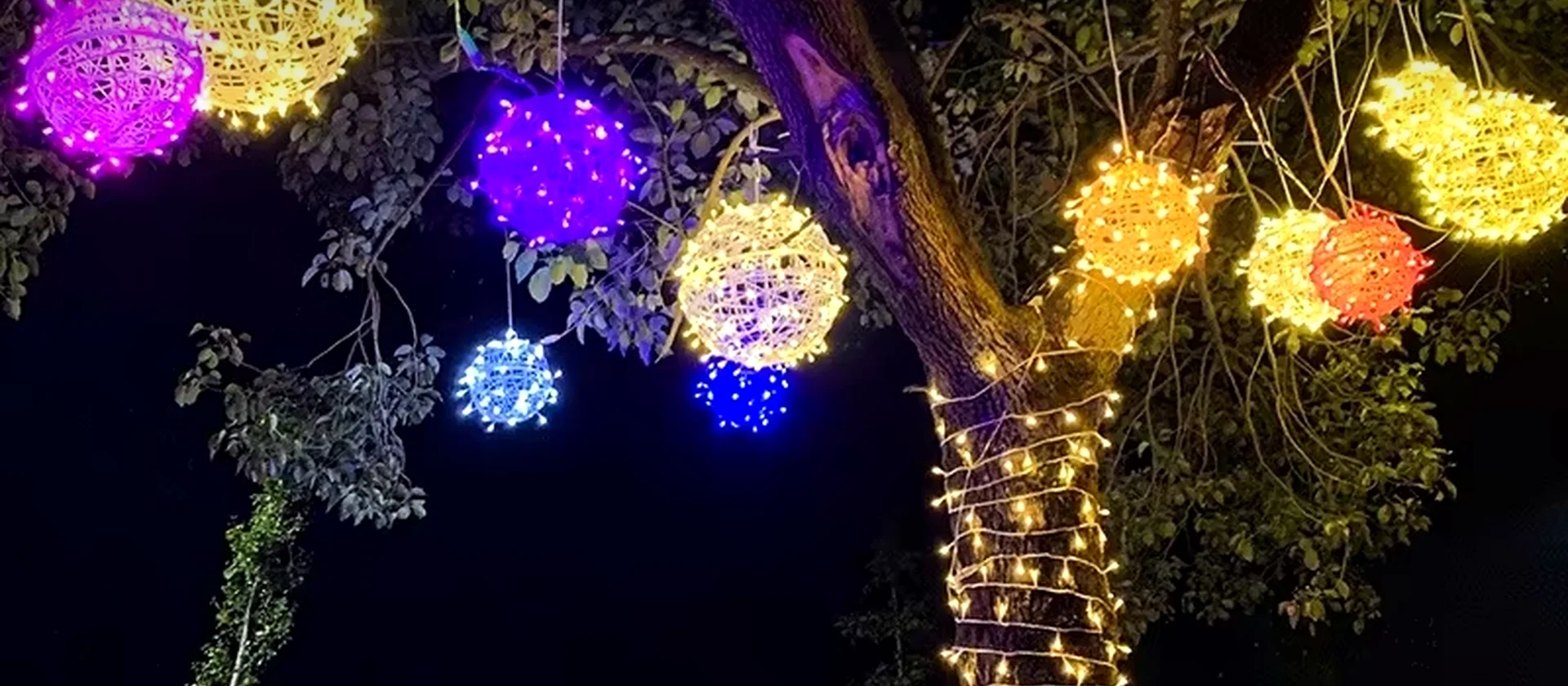 Outdoor LED Rattan Ball Lights for Tree Displays